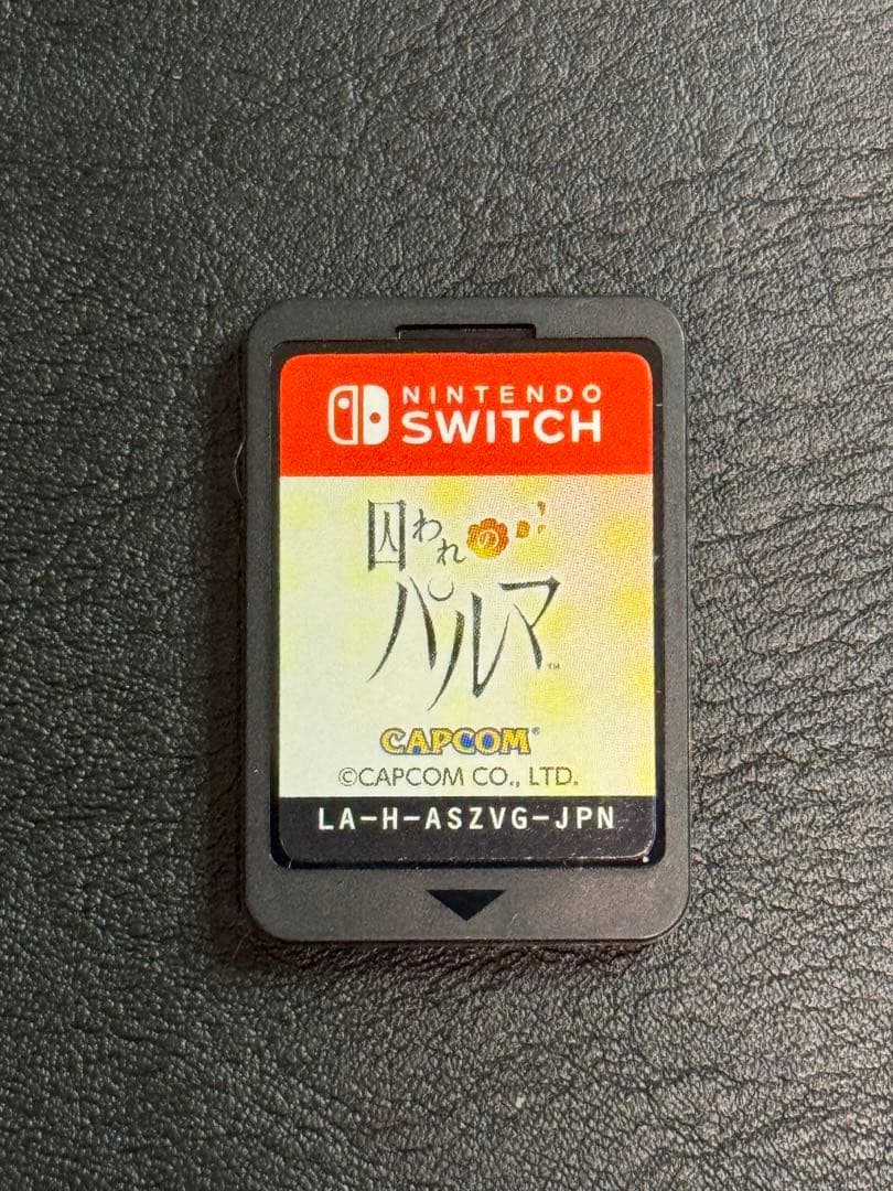 Switch 囚われのパルマ デラックス エディション