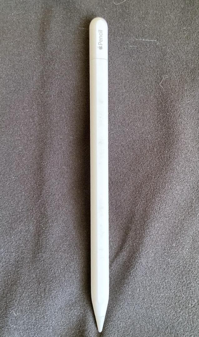 Apple Pencil (USB-C) 箱付き