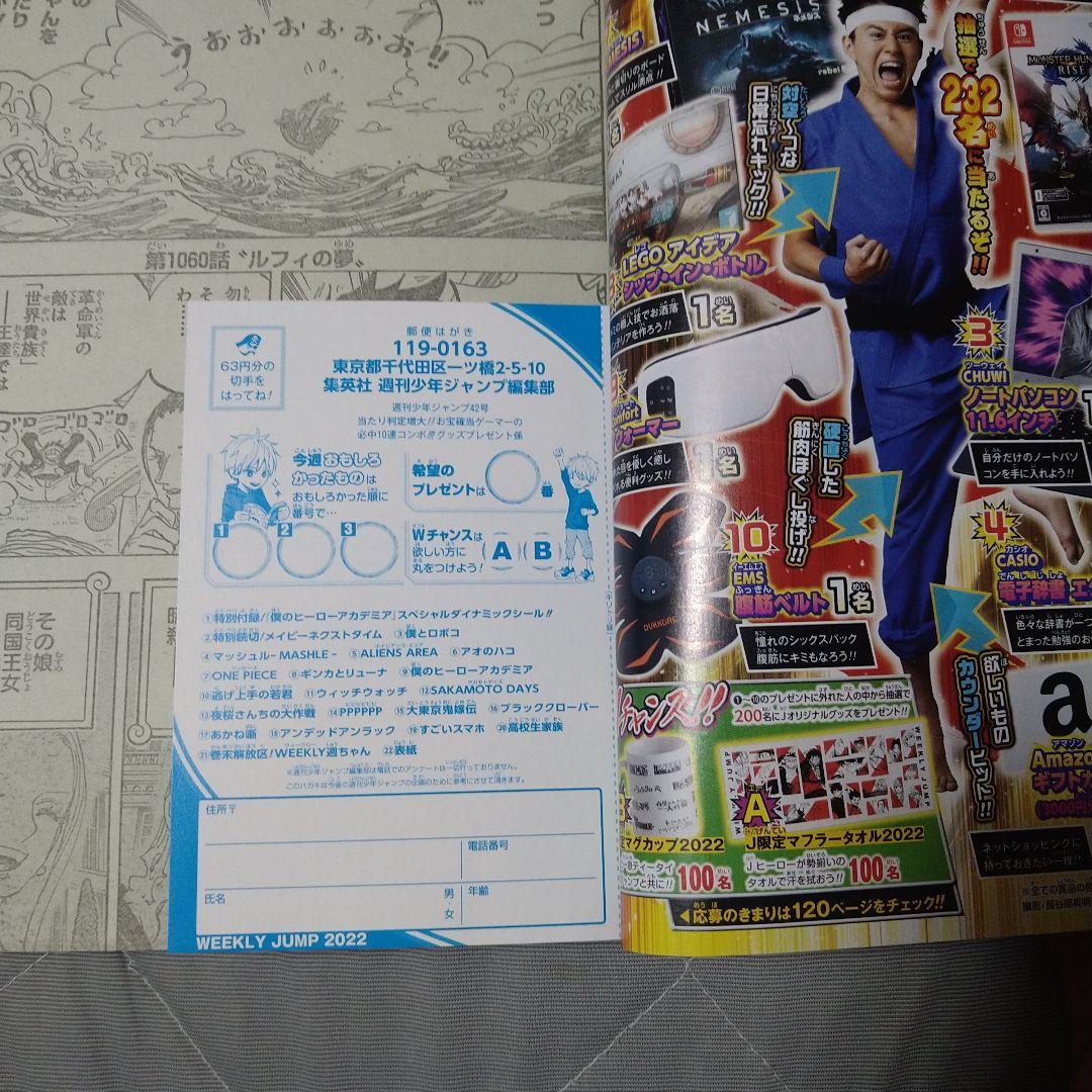 た*ʔ様 週刊少年ジャンプ 42号 ONE PIECE　ニカルフィ