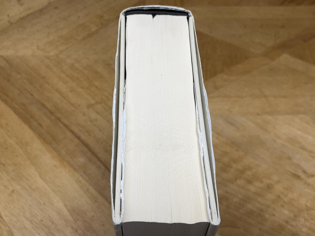 【新品未読品】パララックス・ヴュー / ジジェク