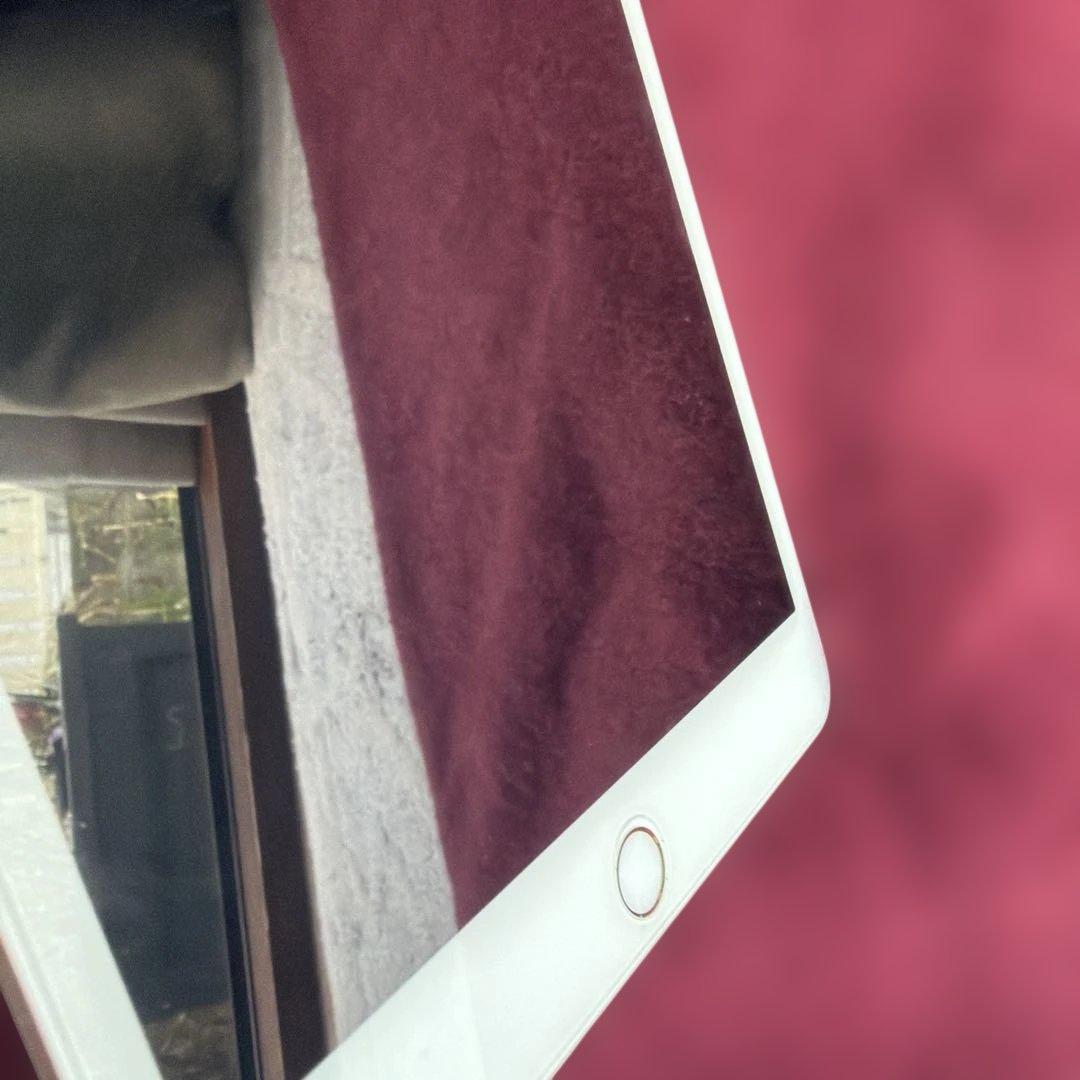 shinさま専用　Apple iPad mini4 本体　128GB