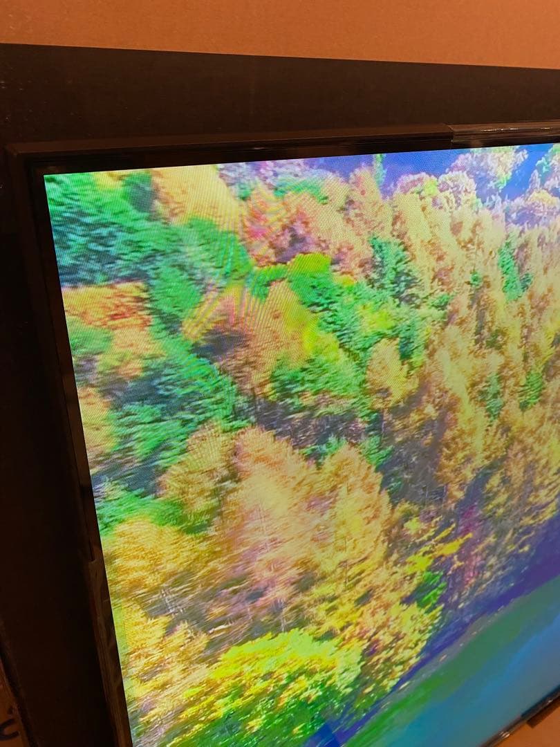 DMM製65インチ4Kモニター　DKS-4K65DG6