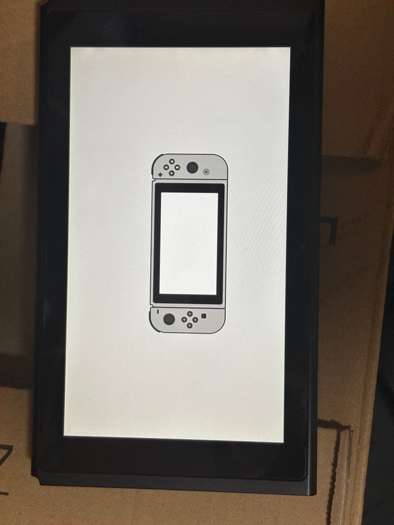 Nintendo Switch 本体　プロコン付き