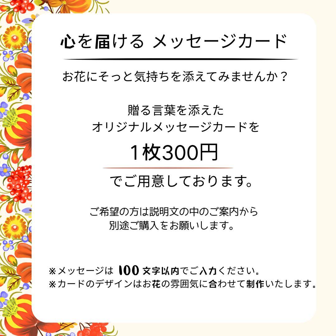 【光触媒加工】ナチュラルドライスタイルスワッグ｜ホワイトローズとプロテアスワッグ