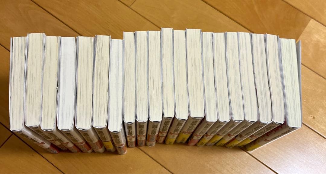 落第騎士の英雄譚0〜19巻セット　20冊全巻セットです