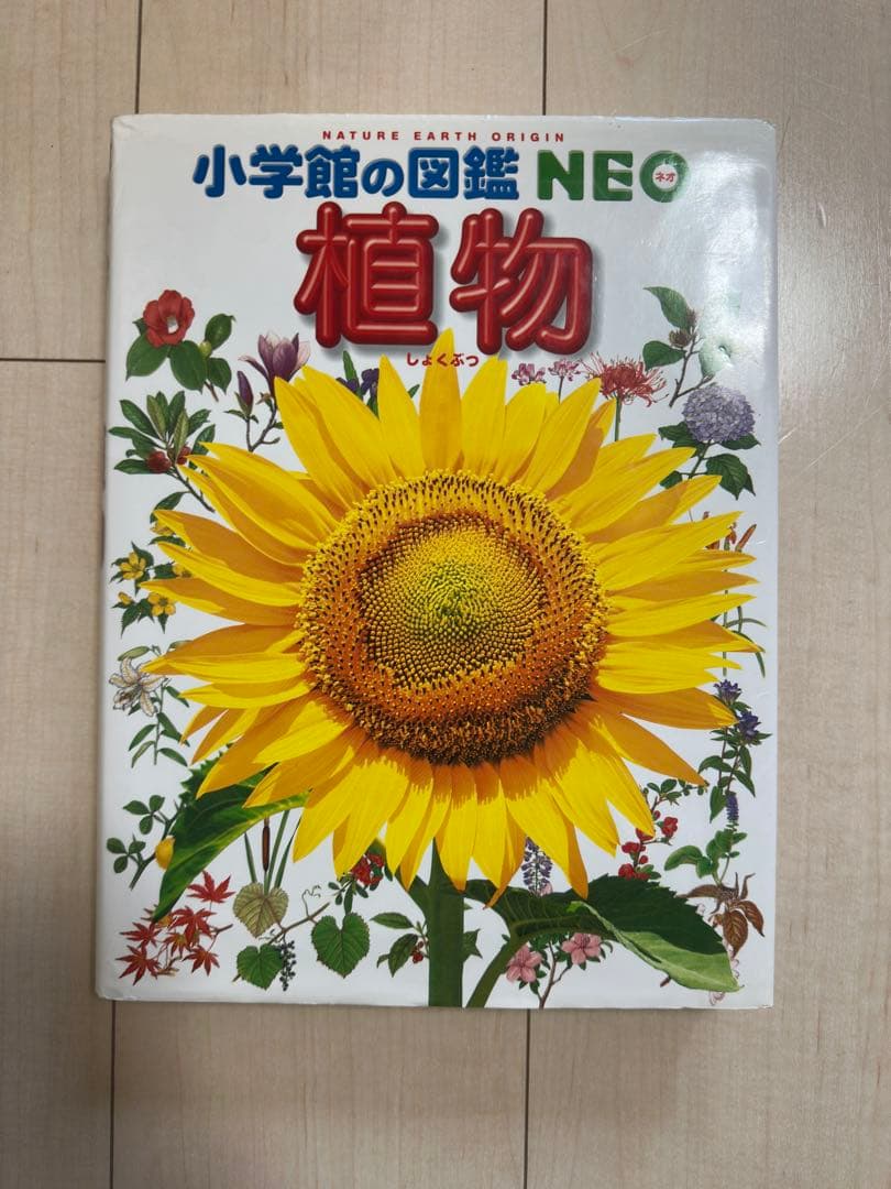 【図鑑】小学校の図鑑 NEO 【全9巻】