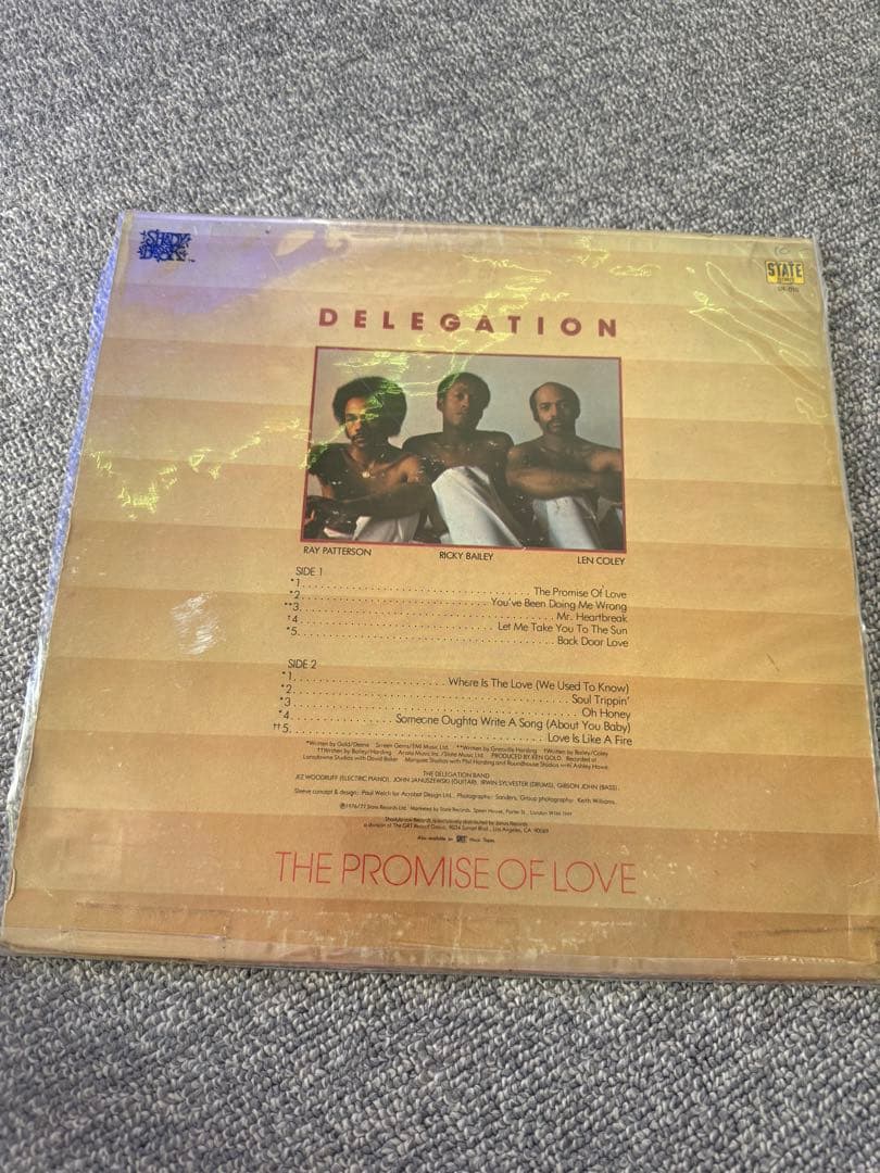 DELEGATION THE PROMISE OF LOVE レコード