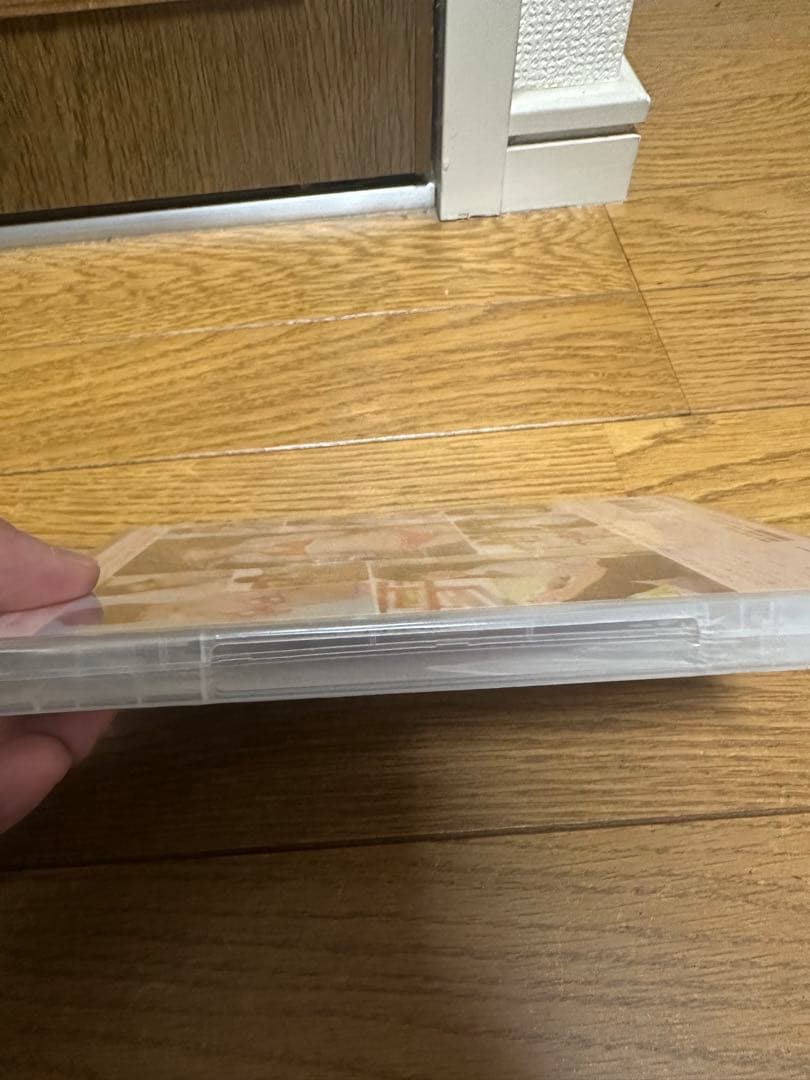 アイドルDVD 小田桐奈々 プリンセス奈々 DVD 新品　未使用