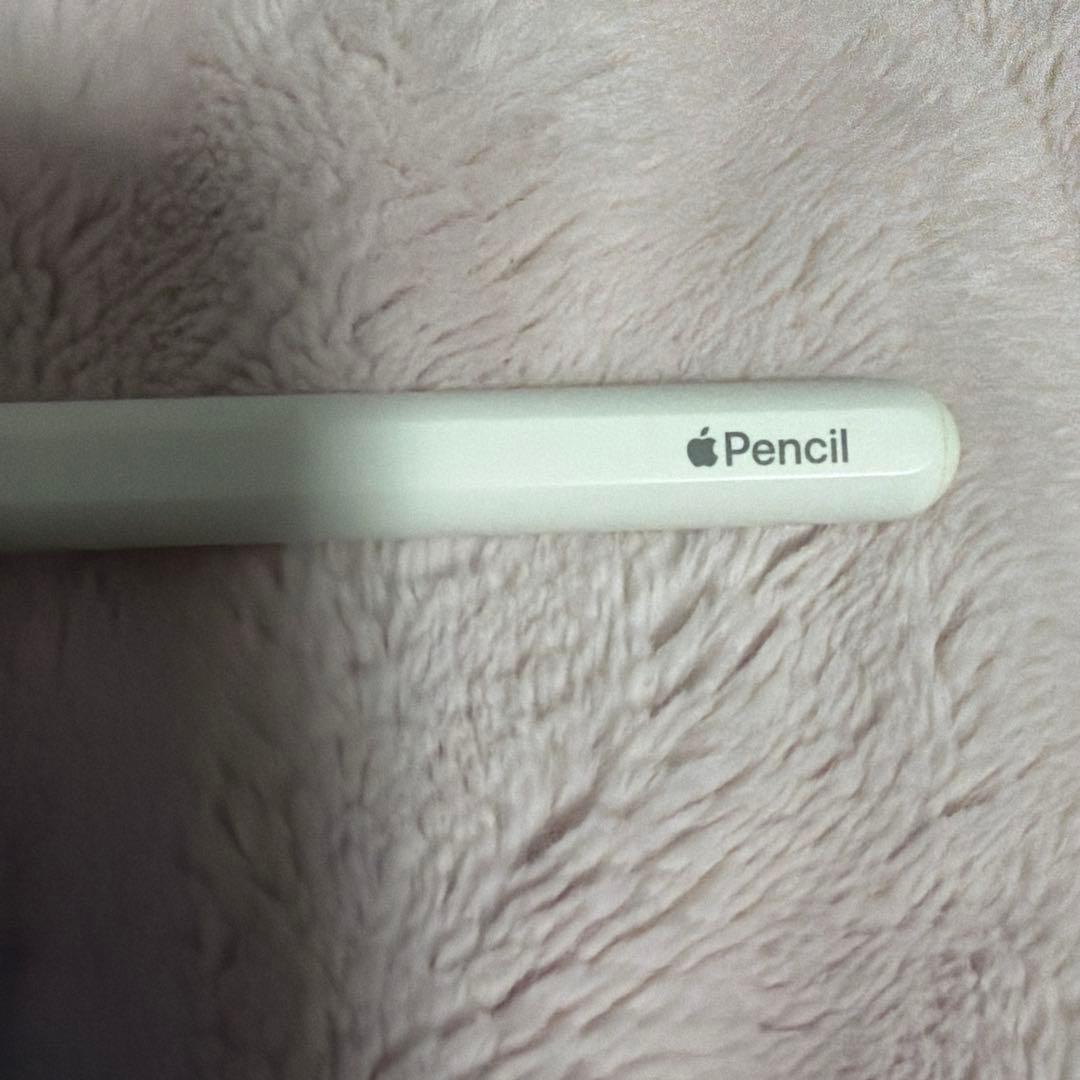 Apple Apple Pencil 第2世代 本体のみ