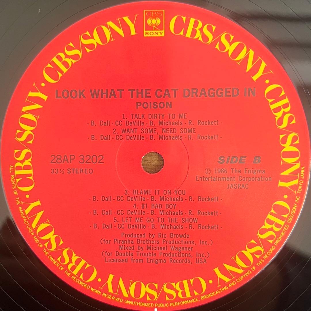 洋楽 Poison Look What The Cat Dragged In