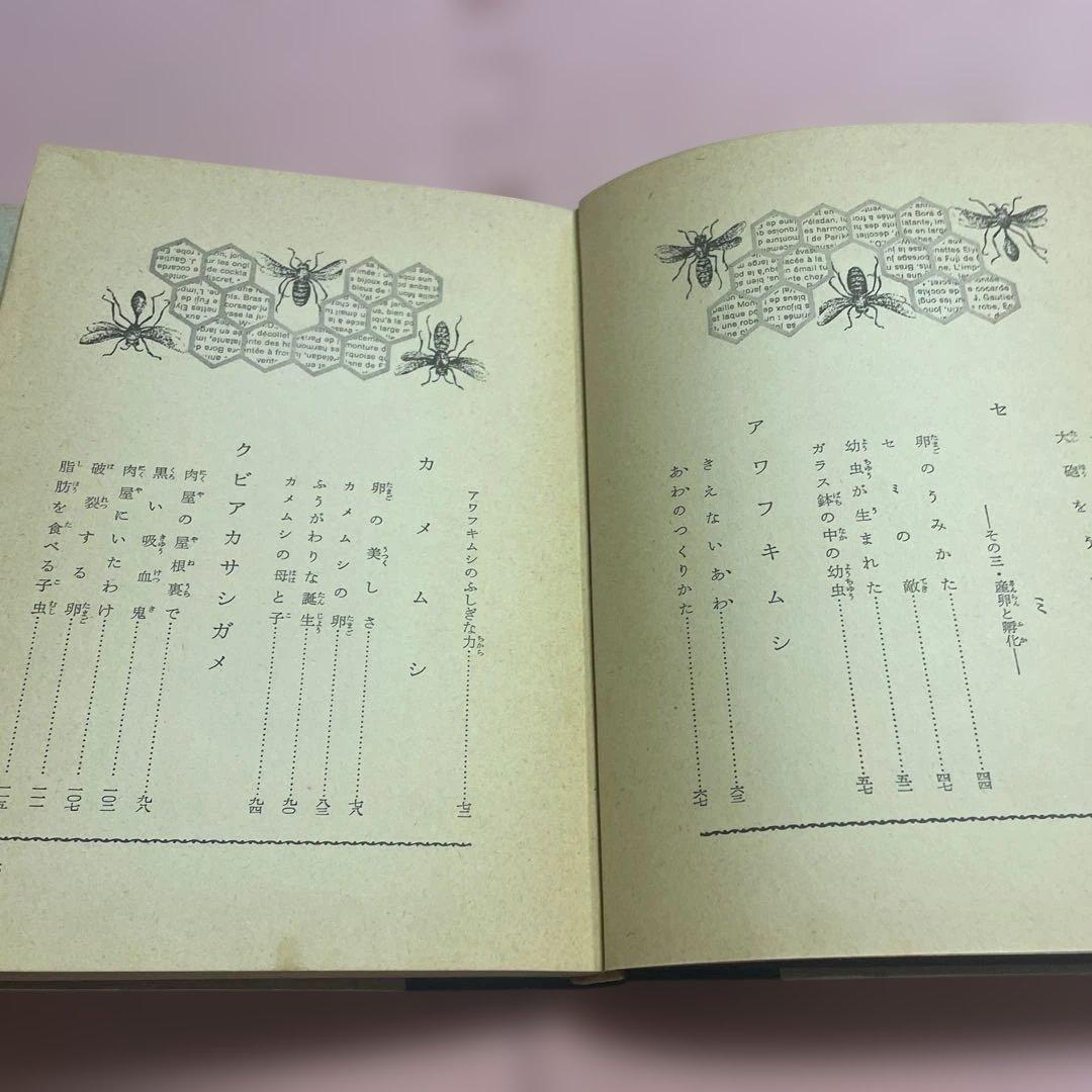 ♦️♦️♦️♦️ファーブル昆虫記 2➕6♦️♦️♦️♦️2冊セット