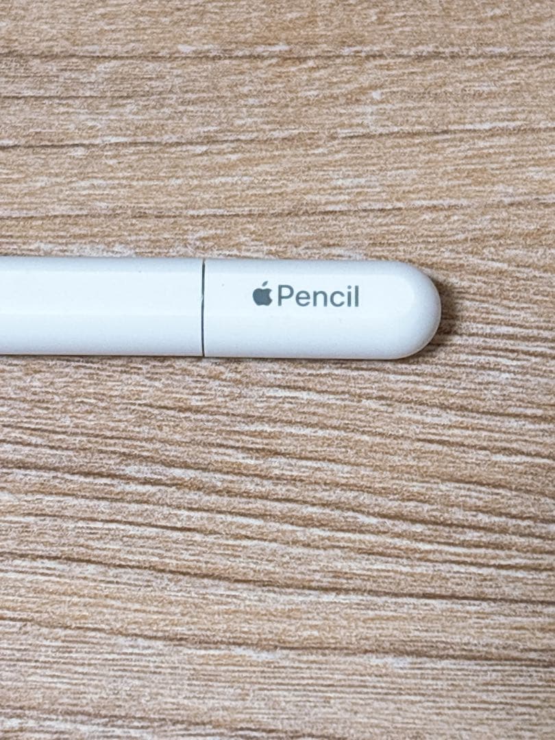 iPadアクセサリー Apple pencil USB Type-C