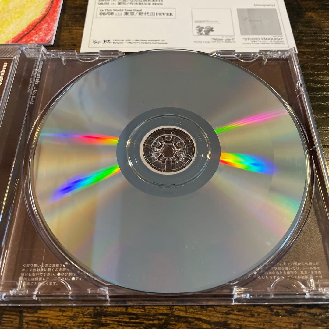 【廃盤】美品　susquatch / In This World