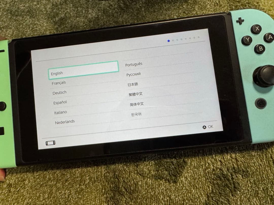 【当日発送可】中古 Nintendo Switch あつまれ どうぶつの森セット