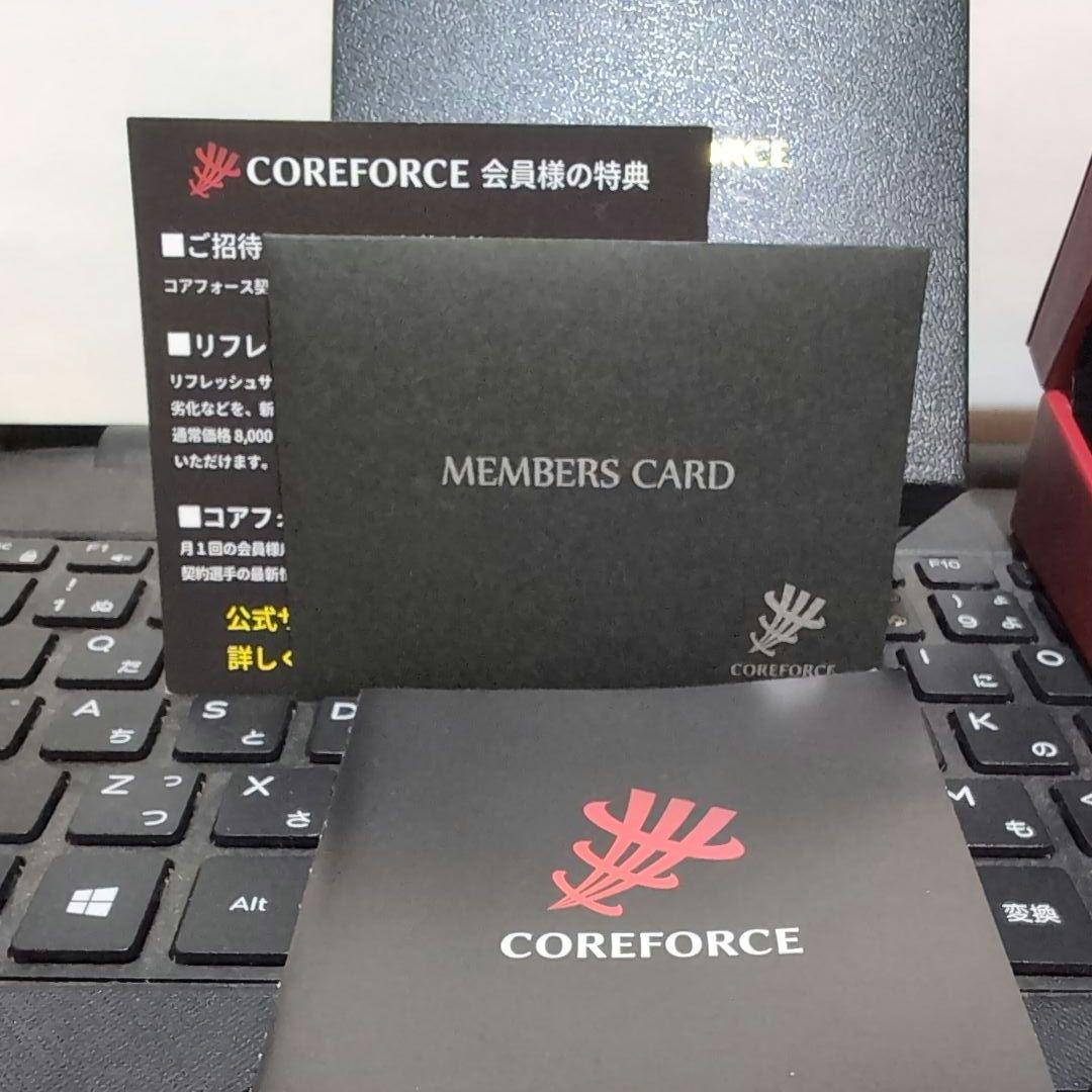 COREFORCE コアフォースループSUS70cm コアホースループ50cm