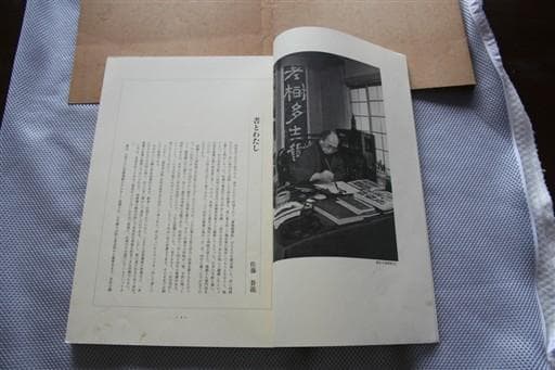 ◇　おまけ付き　佐藤蒼龍　臨書大成　◇