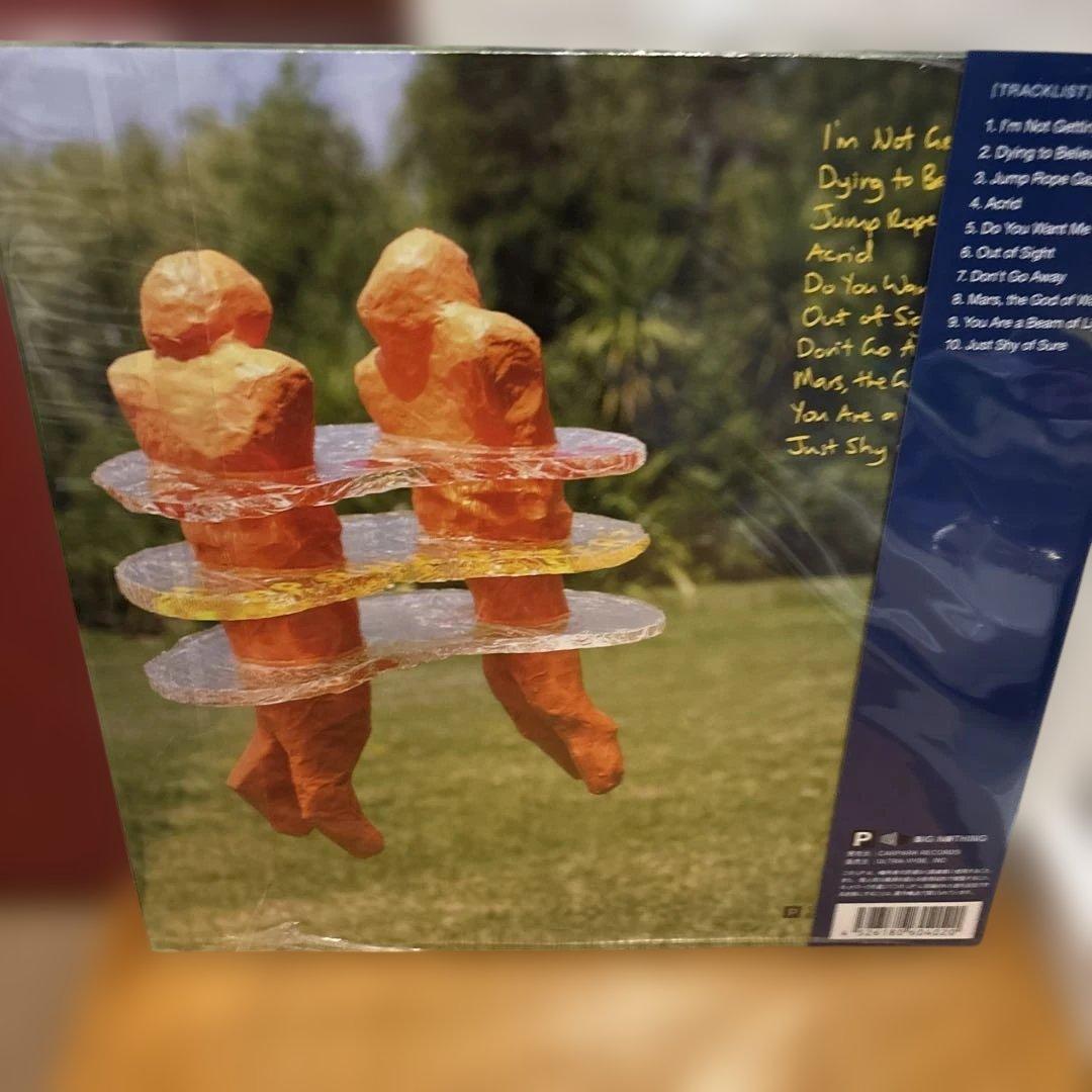 the beths JUMP ROPE GAZERS LP 日本語帯国内流通仕様