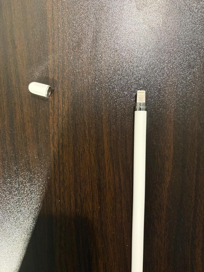iPad 第9世代 64GB + Apple Pencil 1 海外版