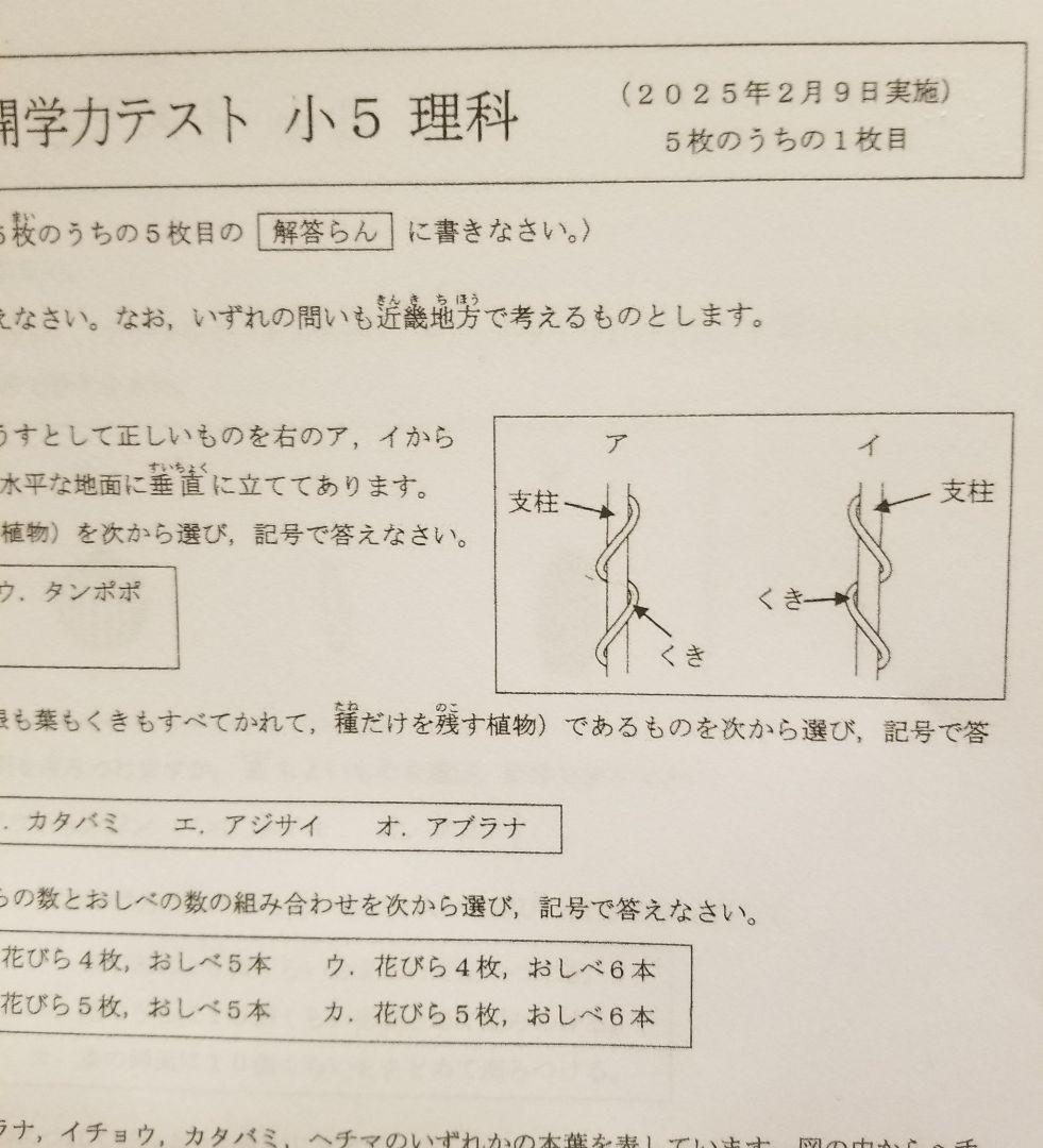 浜学園　小５　公開学力テスト　最新版　2025年　３教科　算数　国語　理科