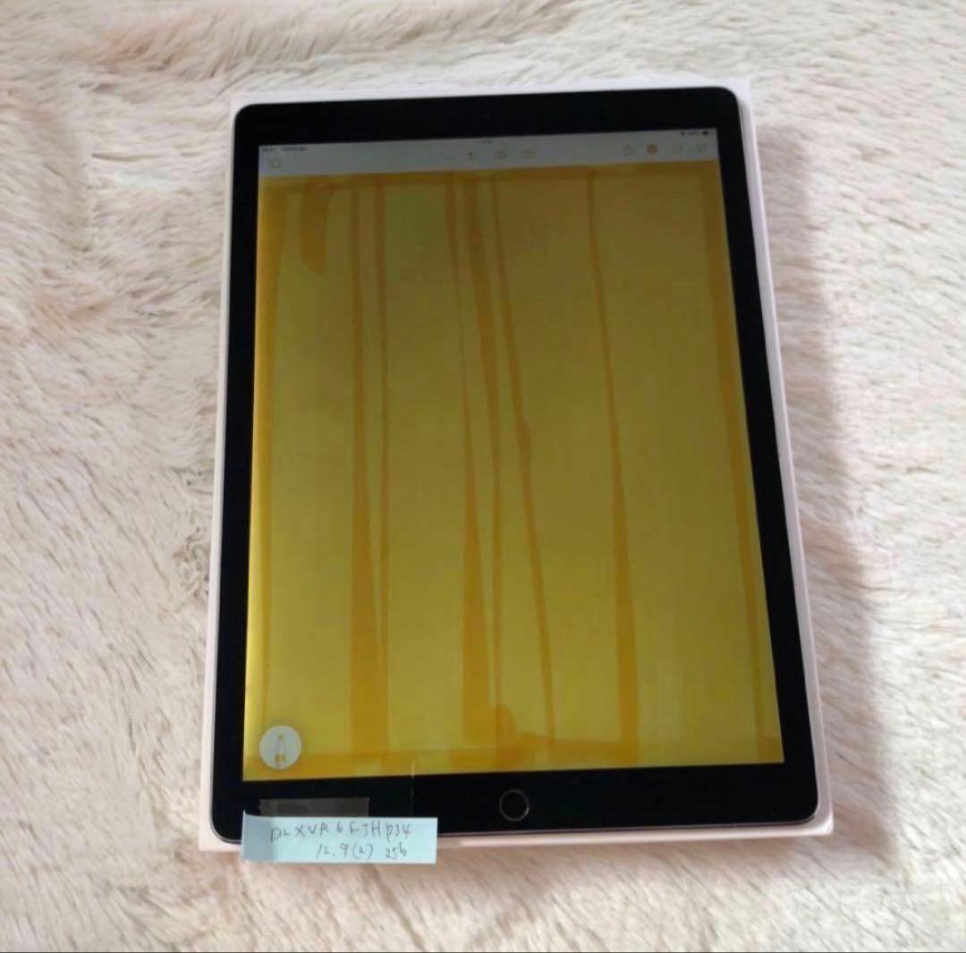 iPad Pro 第2世代 12.9インチ 256GB 美品❗️ 値段交渉可能‼️