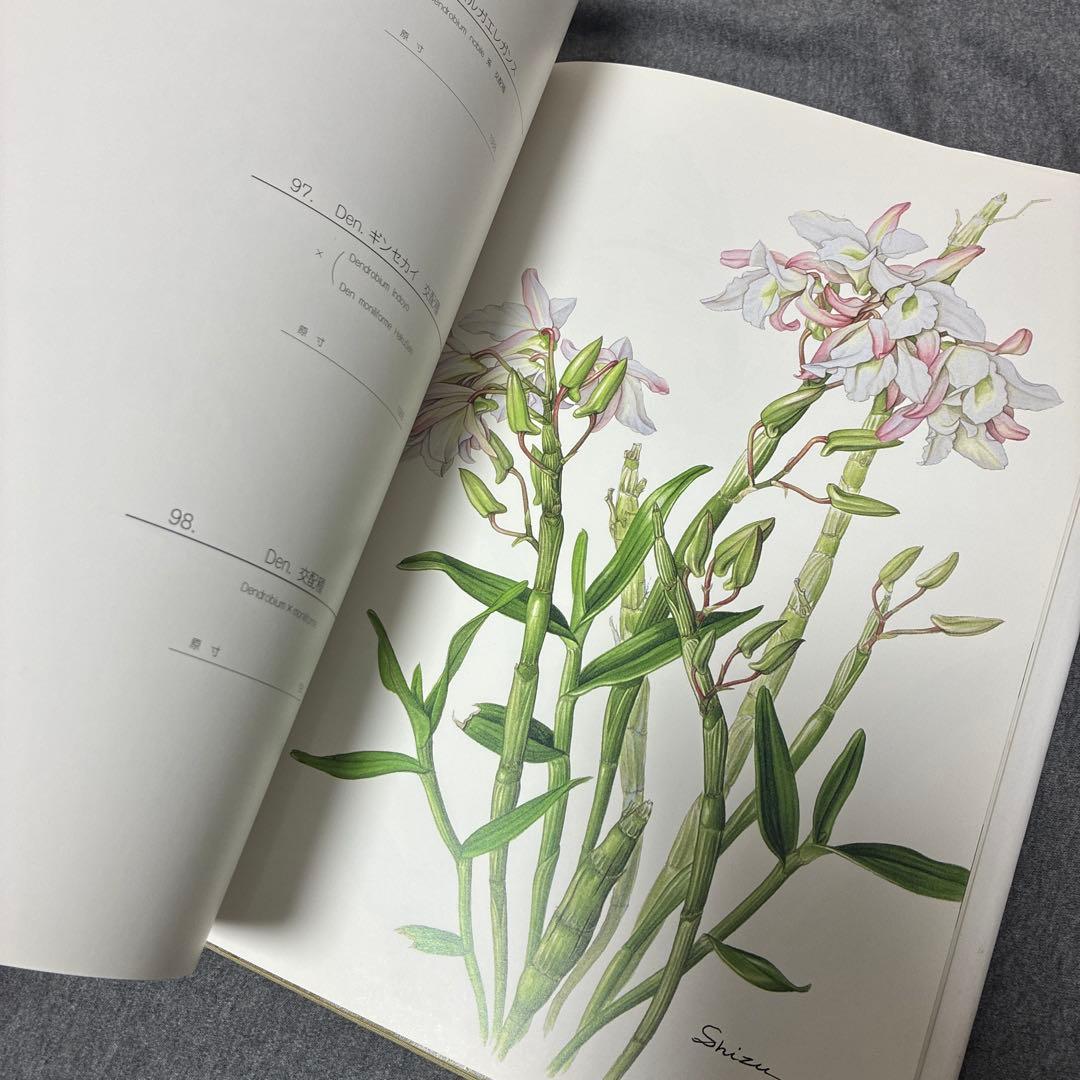 BOTANICAL ART KAHO SAWADA 大型本　定価1万2000円