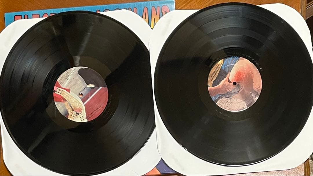 洋楽 Butthole Surfers Electric Larryland 2LP