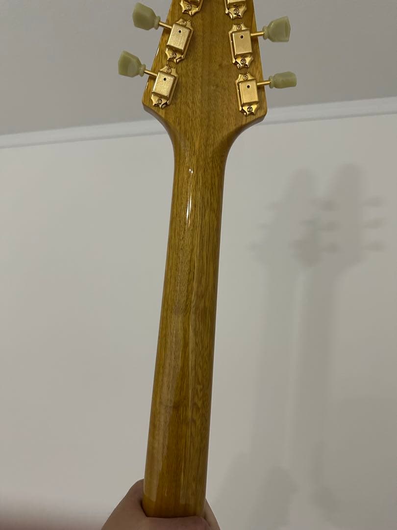 momose MFV korina 新品未使用　コリーナ