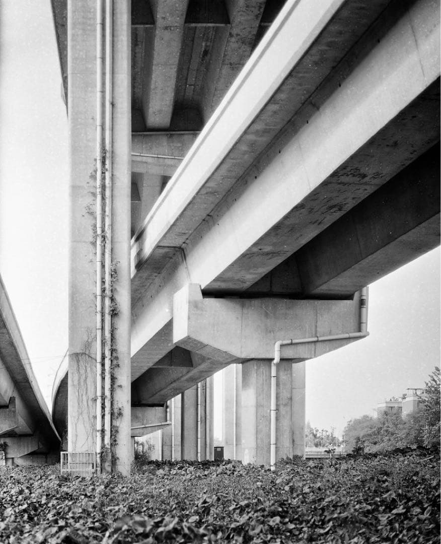 フィルムカメラ MAMIYA SEKOR C DS 105mm f/3.5