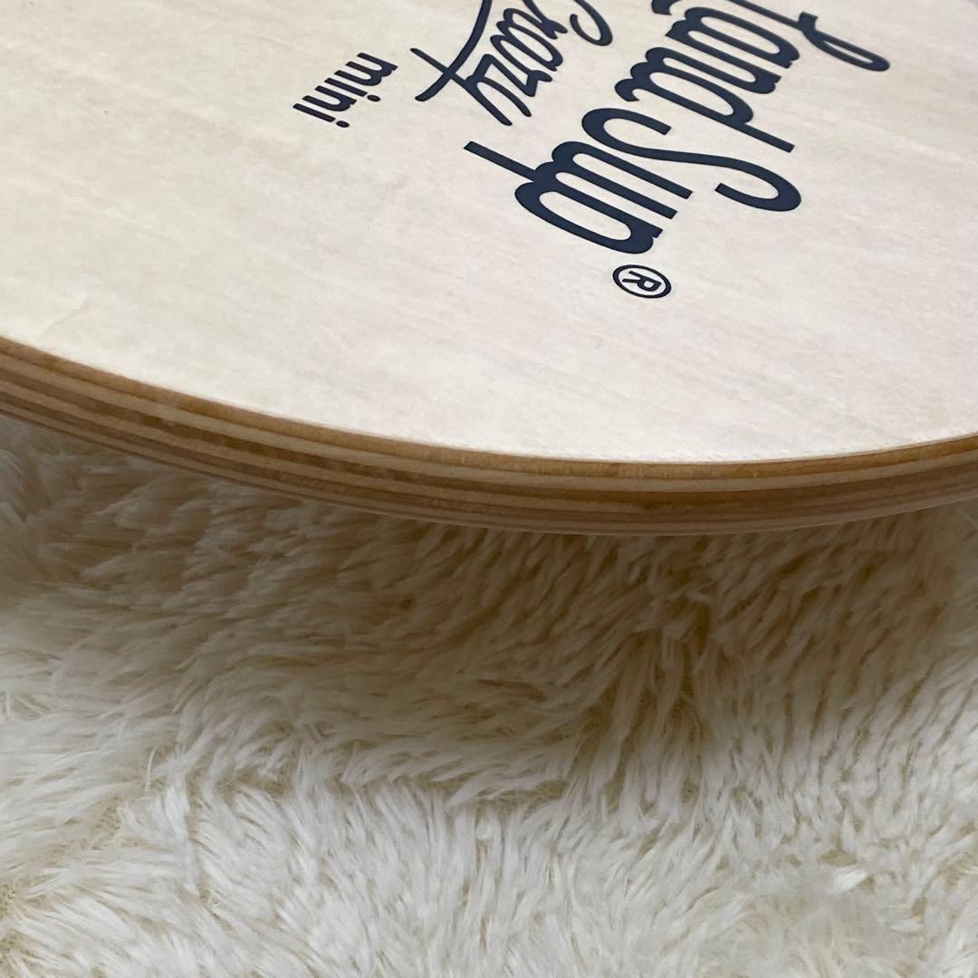 【美品】Land Sup Crazy mini サーフィン バランスボード