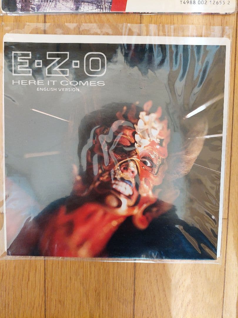 EZO レコードセットステッカー他